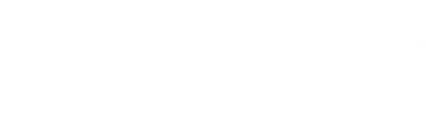 Amma Birth Companions