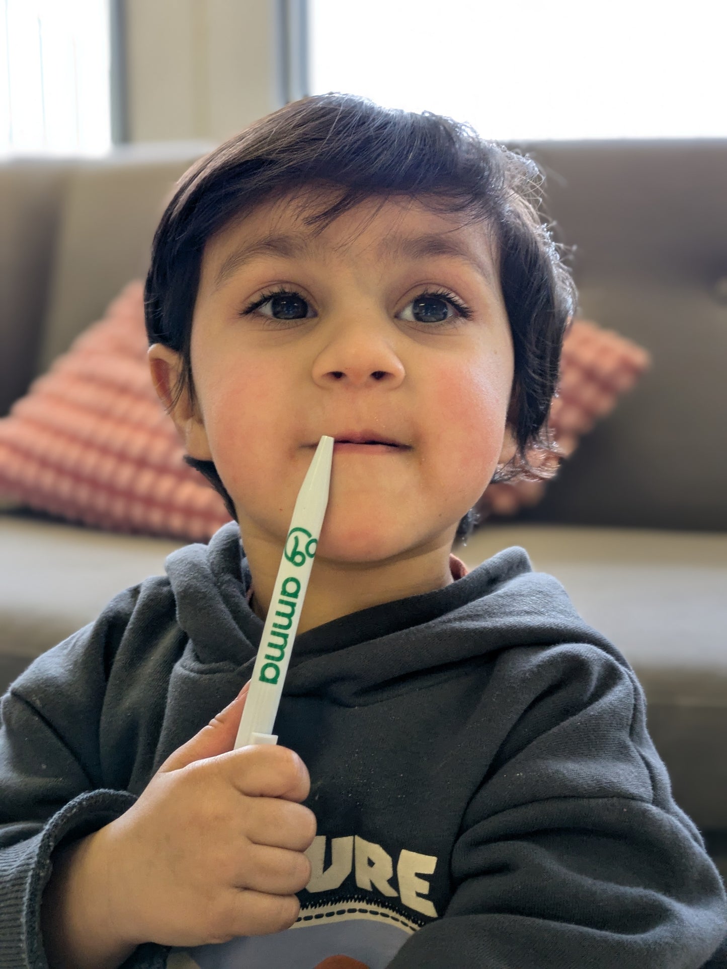 Pen